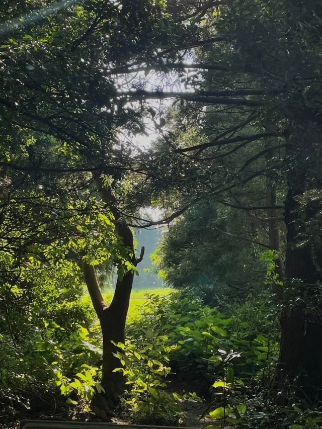유럽 초원같은 제주도 핫플🕊