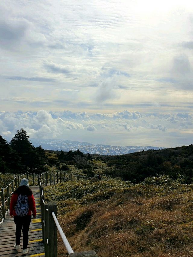 늦가을 제주도 필수 코스? 한라산 영실탐방로!