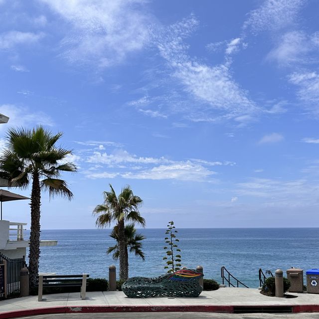 加州一定要去的绝美海滩 Laguna beach~