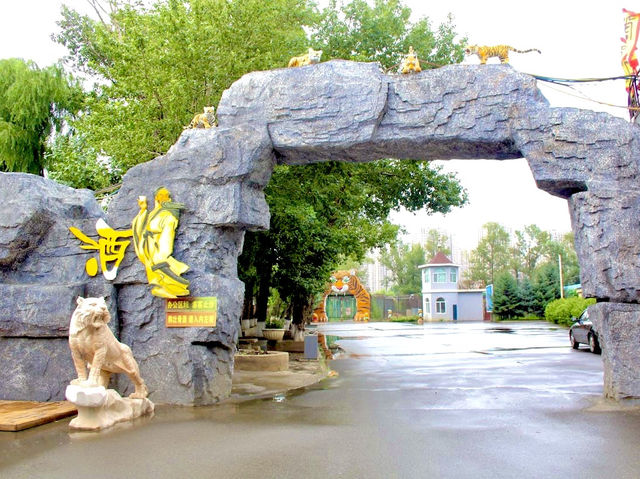 Siberia Tiger Park in Harbin