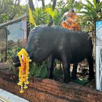 Wat Ban Rai (Elephant Temple).