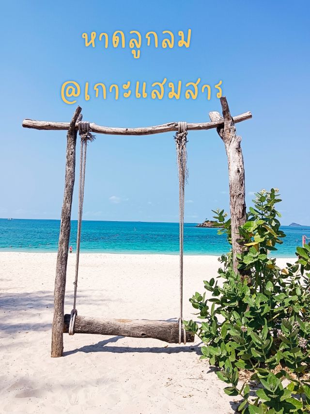ดำน้ำดูปลาการ์ตูน @เกาะแสมสาร
