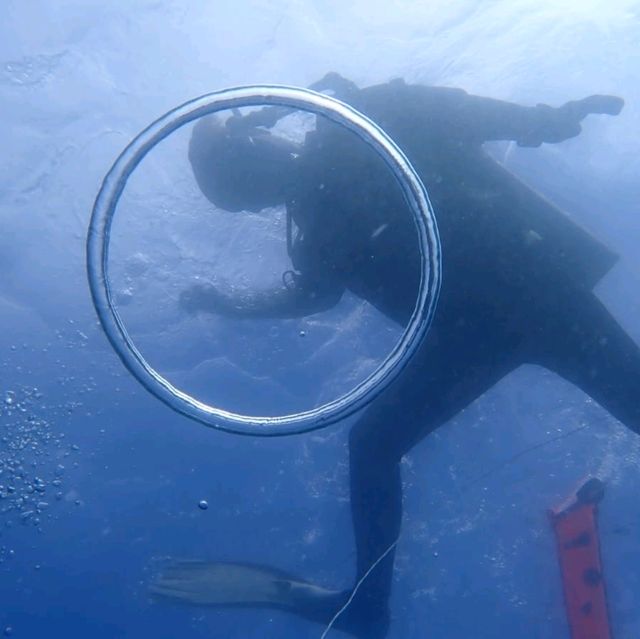 필리핀 민도르섬 다이빙