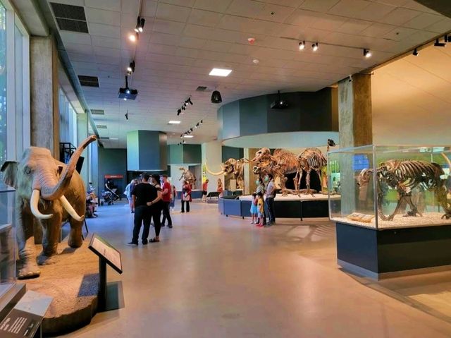 La Brea Tar Pits and Museum