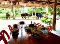 Ao Nang Elephant Sanctuary