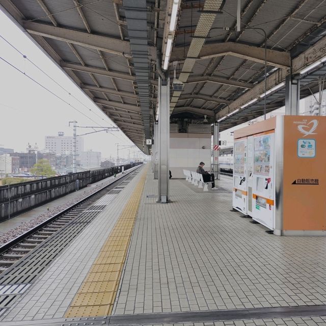 春の岐阜旅行🌸東海道新幹線『岐阜羽島駅』