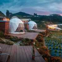 A'moss Farmstay