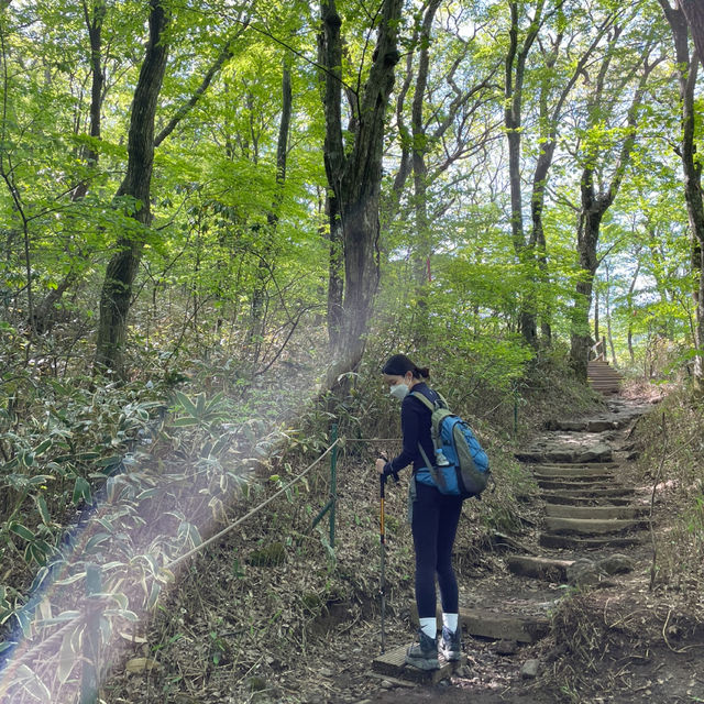 제주도 여행 한라산 등반 