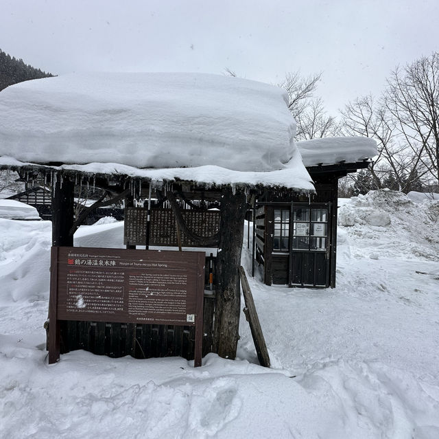 Nyuto Hot Spring Village 