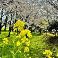 石垣池公園