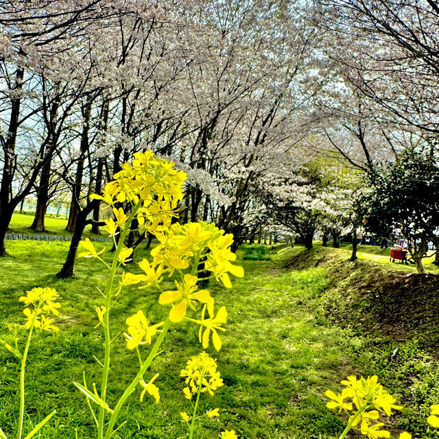 石垣池公園