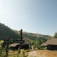 Kowit Farmstay แม่แจ่ม จ.เชียงใหม่ 