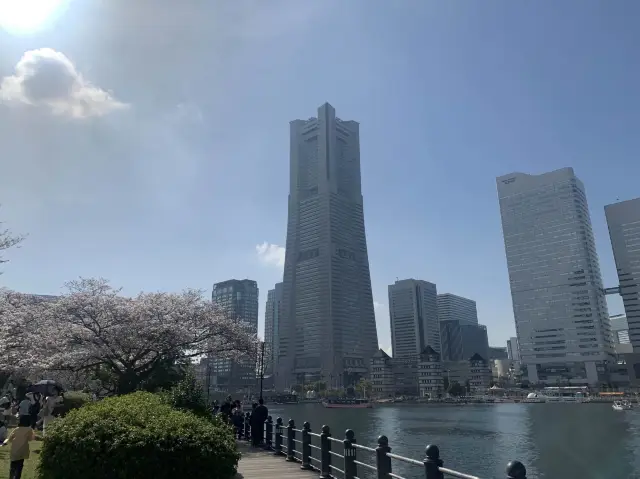 Harmony of Nature and Buildings - Yokohama Minato Mirai