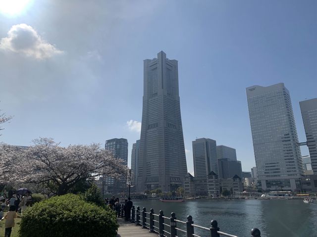 【横浜】自然と建物の調和〜横浜みなとみらい〜
