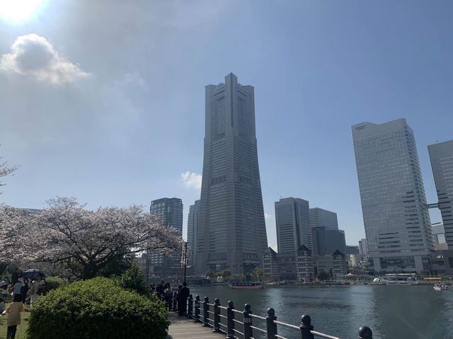 自然と建物の調和〜横浜みなとみらい〜