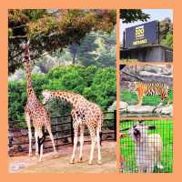 National Zoo & Aquarium Canberra 🦘🦛🐯