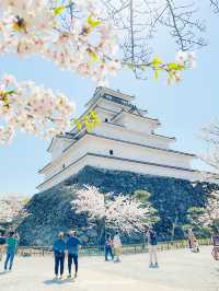  【福島】桜の季節に行ったら城が埋もれていた