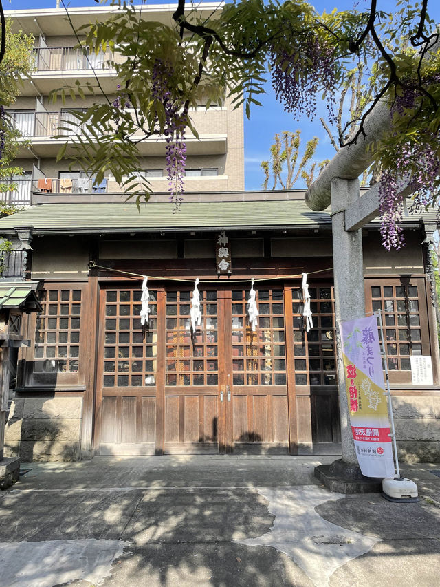 【國領神社/東京都】千年乃藤と飛び出す御朱印