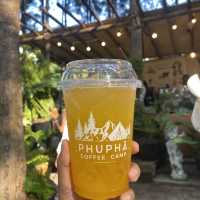 คาเฟ่กลางป่าสน 🌲