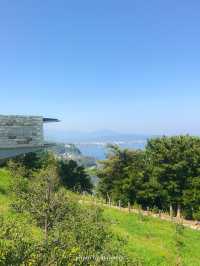 【神奈川】建築美と自然豊かな景色の融合