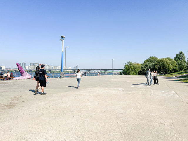 汝矣島漢江公園(여의도한강공원) - 首爾