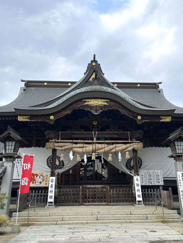 【福岡観光】可愛いあひるがお出迎え♡鎮座1250年を迎える神社⛩