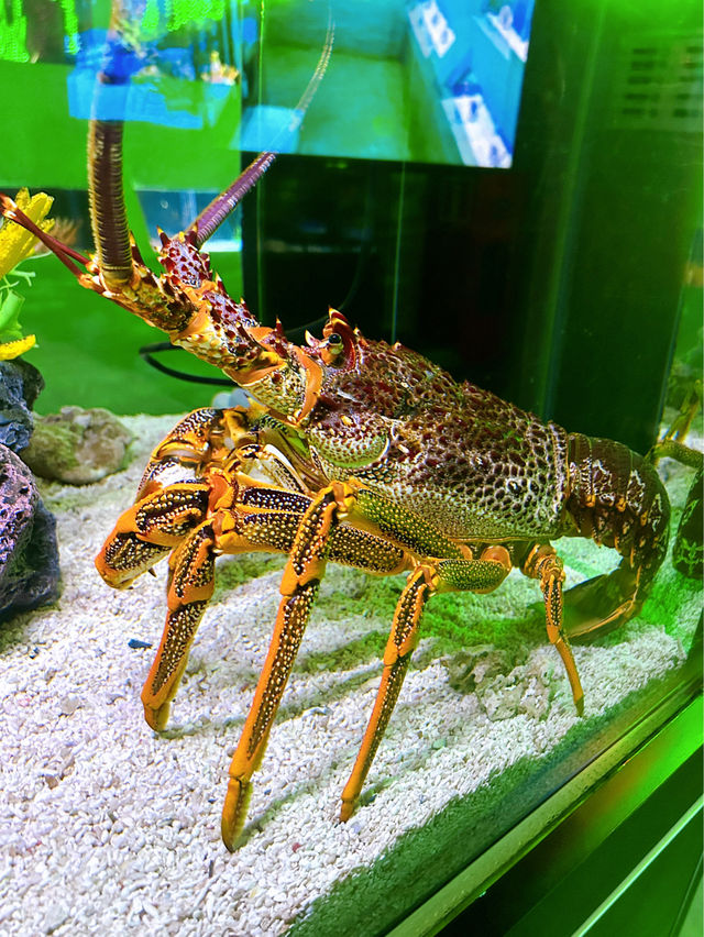 Exploring The Shore Oceanarium