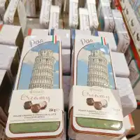 義大利🇮🇹｜比薩斜塔～世界七大奇景Torre di Pisa
