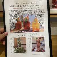 【福岡グルメ】糸島産無農薬野菜を使ったイタリアン風創作料理のお店