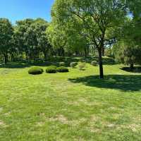 ```東湖公園～適合放鬆的綠色勝地```