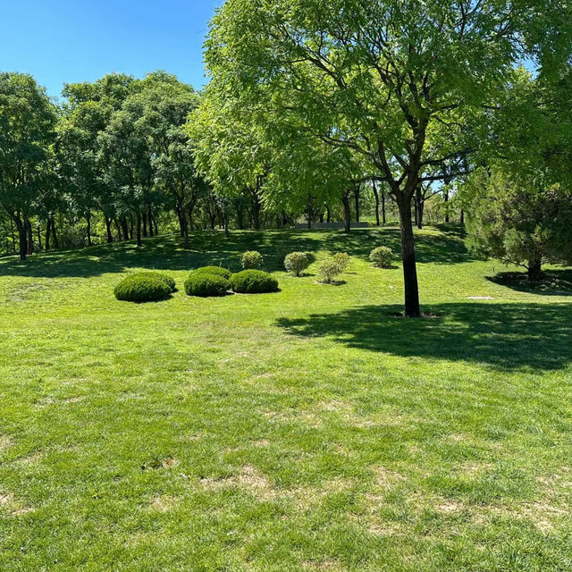```東湖公園～適合放鬆的綠色勝地```