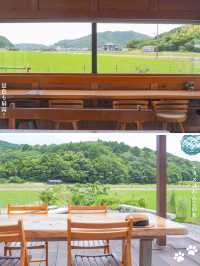 【三重・志摩】🍈メロン農家が作る、完熟メロンづくし