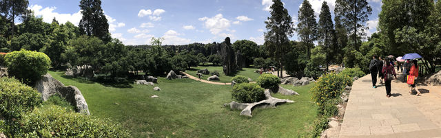 Stone Forest, The Wonder under the Heaven