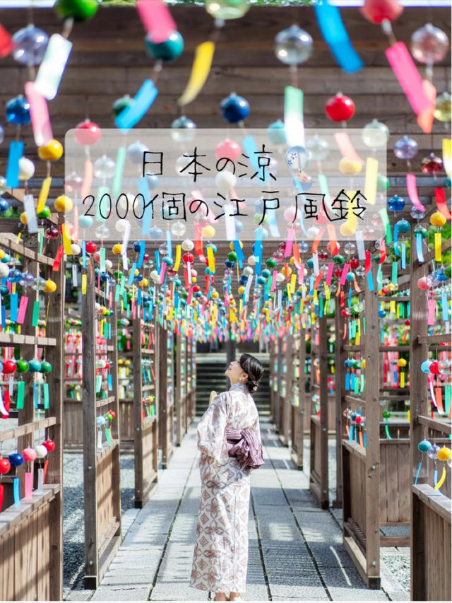 2000個の江戸風鈴は圧巻『可睡斎風鈴まつり』🎐