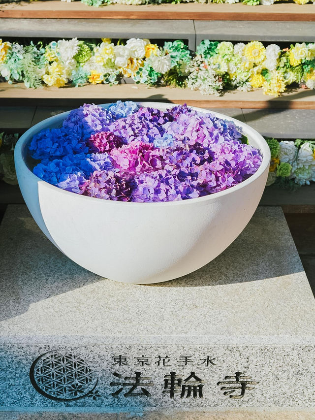 都内紫陽花映えスポット🪷🎐🎐🫧【法輪寺】