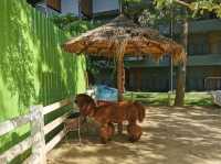Dusit D2 Khaoyai