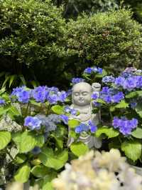 【奈良】花手水で有名な古刹