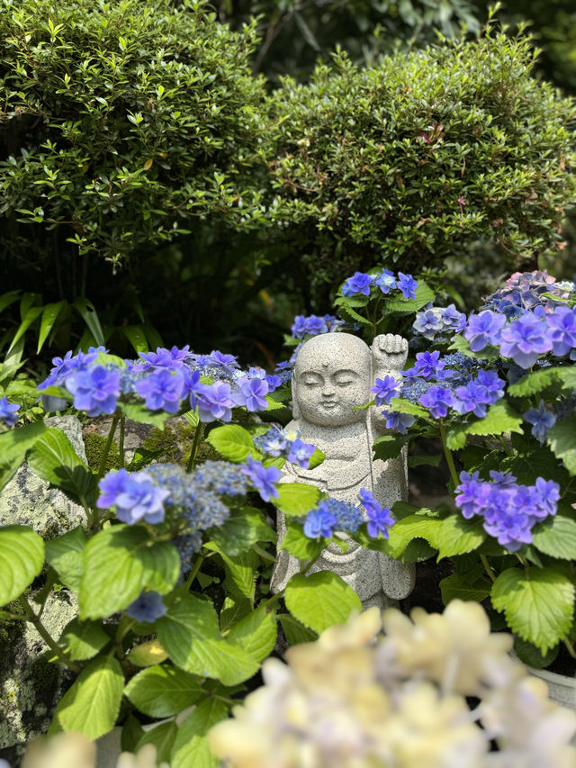 【奈良】花手水で有名な古刹