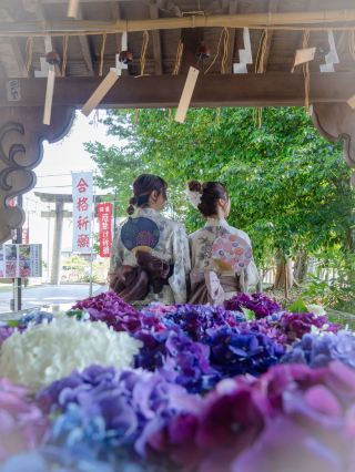 Must-see for those who don't want to show their face! How about taking a photo like this? A flower water fountain with hydrangeas and hydrangea water divination / Fujinami Shrine