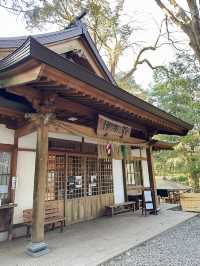 ✈️九州宮崎縣求夫妻和順的高千穗神社🤎