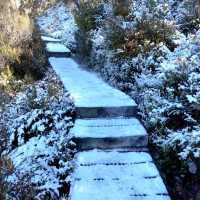 the best of Tassie