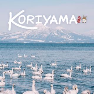 Visit the city of seasonal flowers in Tohoku