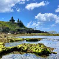 🌴 Lord Howe Island: A Hidden Paradise 🌴