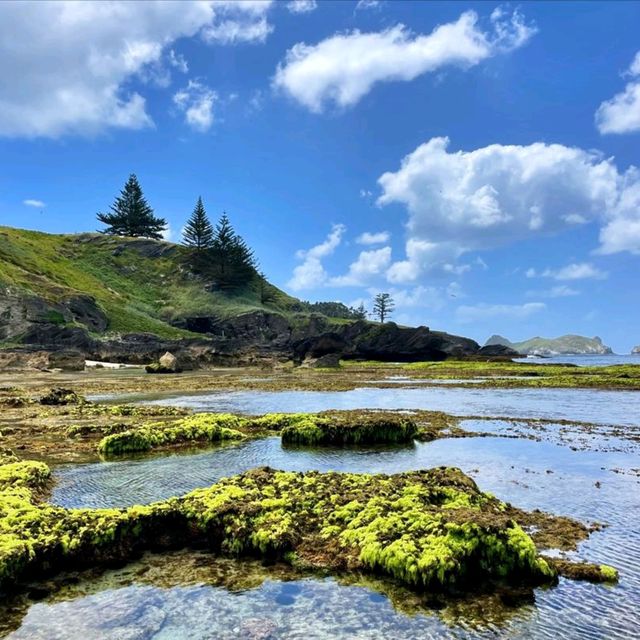 🌴 Lord Howe Island: A Hidden Paradise 🌴