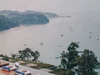 Akoya