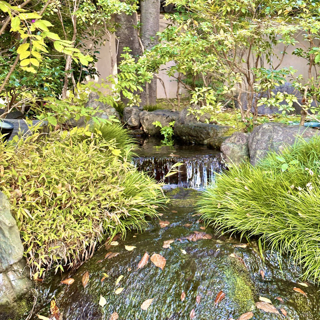 〜京都府〜超穴場！日本庭園を眺めながらお得ランチ