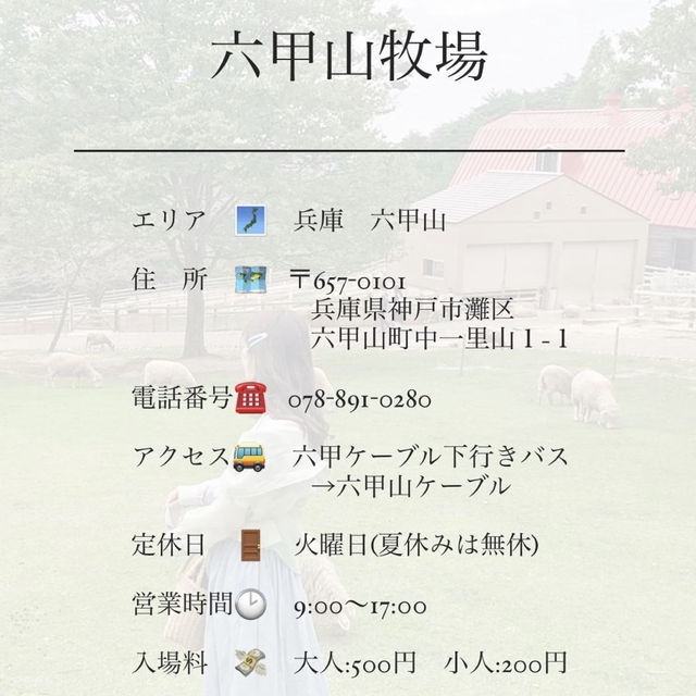 羊と触れ合える牧場🐏【兵庫/六甲】