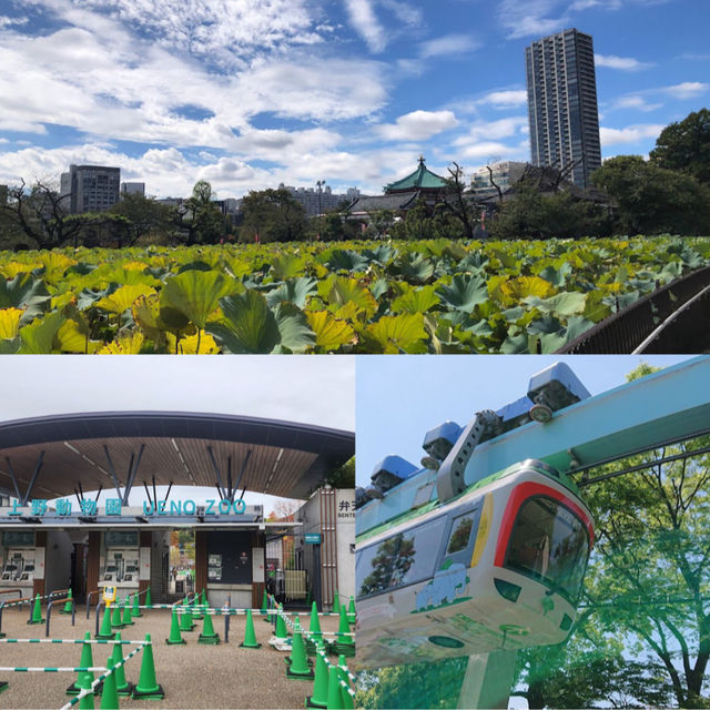「東京上野動物園：古老動物園，適合家庭遊覽和學校教育」