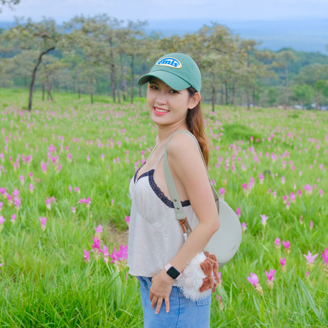 ทุ่งดอกกระเจียว อุทยานแห่งชาติไทรทอง จ.ชัยภูมิ