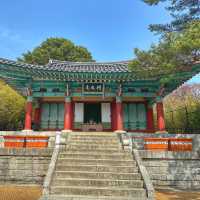 江陵の歴史と韓国紙幣ゆかりの地を訪れよう